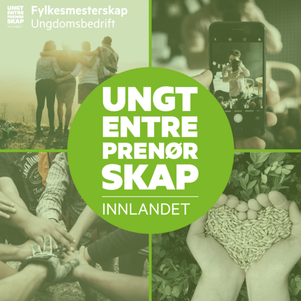 Ungt Entreprenørskap | Program